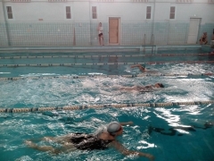 Соревнования по  Плаванию