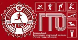 Готов к труду и обороне