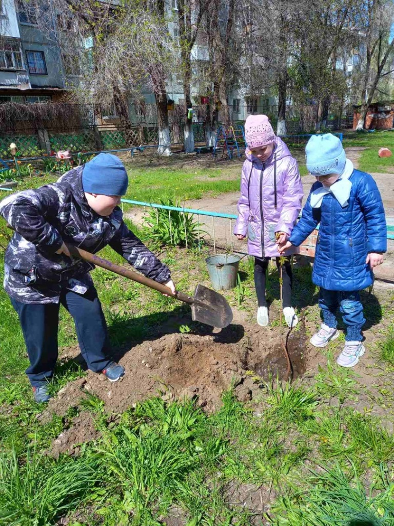 Аллея Памяти